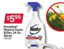 Ace Hardware Roundup Weed & Grass Killer, 24 Oz. Spray offer