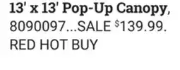 Ace Hardware 13' x 13' Pop-Up Canopy offer