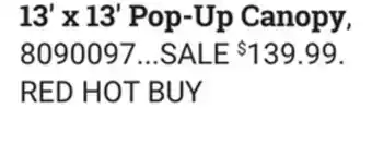 Ace Hardware 13' x 13' Pop-Up Canopy offer