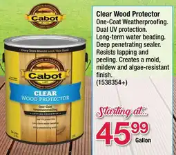 Ace Hardware Clear Wood Protector offer