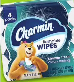 Menards Charmin Flushable Wipes - 160 Count offer