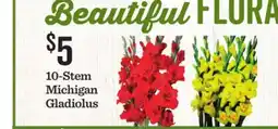 Mariano's 10-Stem Michigan Gladiolus offer