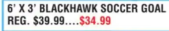 Dunham's Sports FRANKLIN 6' X 3' BLACKHAWK SOCCER GOAL offer