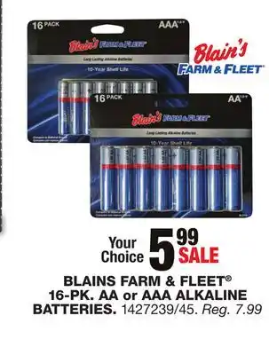 Blain's Farm & Fleet BLAINS FARM & FLEET 16-PK AA OR AAA ALKALINE BATTERIES offer