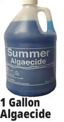 Ocean State Job Lot Summer Algaecide 1 Gal offer