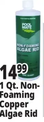 Ocean State Job Lot Pool Mate Non-Foaming Algae Rid 1 Qt offer