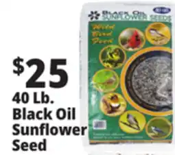 Ocean State Job Lot Black Oil Sunflower Seeds 40 lbs offer