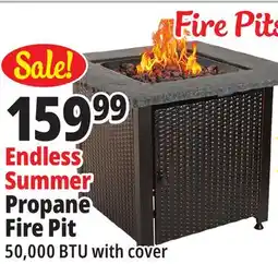 Ocean State Job Lot Endless Summer Square LP Gas Outdoor Fire Pit with Cover offer