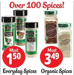 Ocean State Job Lot Over 100 Spices offer