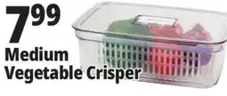 Ocean State Job Lot Medium Vegetable Crisper offer