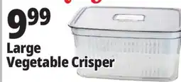 Ocean State Job Lot Large Vegetable Crisper offer