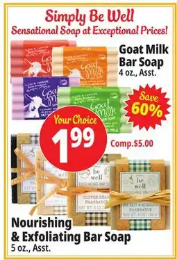 Ocean State Job Lot Simply Be Well Soaps offer