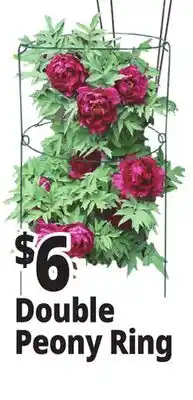 Ocean State Job Lot Peony Double Ring Plant Support 18 x 36 offer