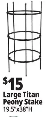 Ocean State Job Lot Large Titan Peony Stake offer