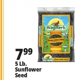 Ocean State Job Lot Wagner's Black Oil Sunflower Seed Wild Bird Food 5 lbs offer