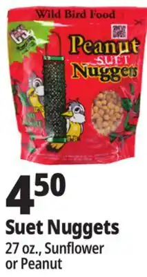 Ocean State Job Lot C&S Sunflower Suet Nuggets 27 oz offer