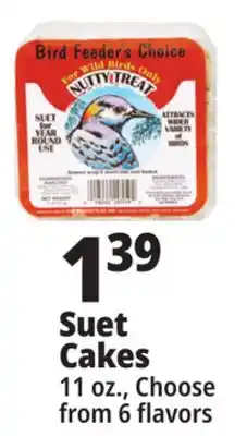 Ocean State Job Lot Bird Feeder's Choice High Energy Suet 11 oz offer