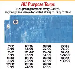 Ocean State Job Lot All Purpose Tarps offer