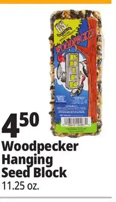 Ocean State Job Lot C&S Woodpecker Brick 11.25 oz offer