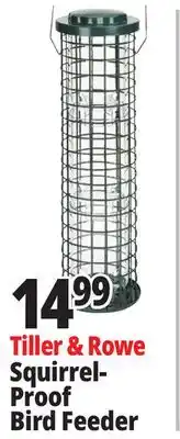 Ocean State Job Lot Tiller & Rowe Squirrel Proof Bird Feeder offer