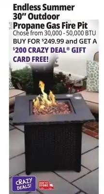 Ocean State Job Lot Endless Summer Fire Pits offer