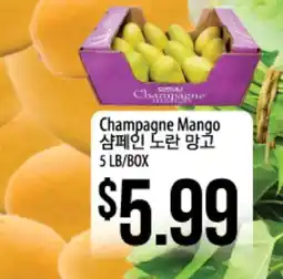 Champagne Mango