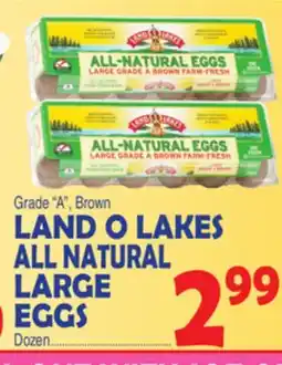 Bravo Supermarkets LAND O LAKES ALL NATURAL LARGE EGGS offer