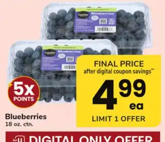 ACME Blueberries offer