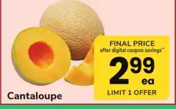 ACME Cantaloupe offer