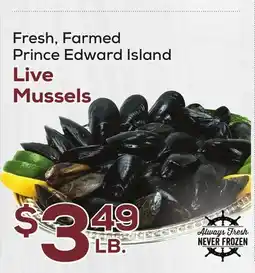 DeCicco & Sons Prince Edward Island Live Mussels offer