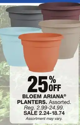 Blain's Farm & Fleet BLOEM ARIANA PLANTERS offer