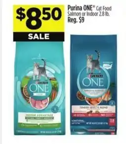 Dollar General Purina ONE offer