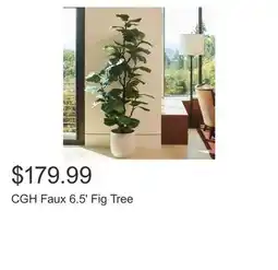 Costco CGH Faux 6.5' Fig Tree offer
