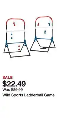 Cabela's Wild Sports Ladderball Game offer