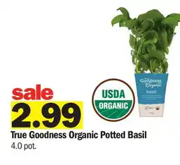 Meijer True Goodness Organic Potted Basil offer