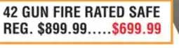 Dunham's Sports 42 GUN FIRE RATED SAFE offer