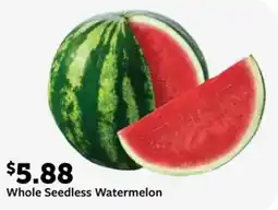 Fareway Whole Seedless Watermelon offer