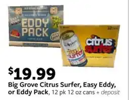 Fareway Big Grove Citrus Surfer, Easy Eddy, or Eddy Pack offer