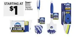 Dollar General Dawn Kitchen Sponges or Brushes offer