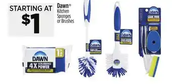 Dollar General Dawn Kitchen Sponges or Brushes offer