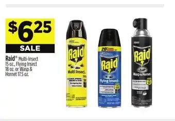 Dollar General Raid offer