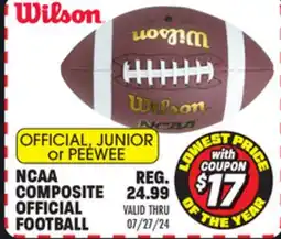 Big 5 Wilson NCAA Composite Official Football offer