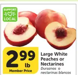 Albertsons Large White Peaches or Nectarines offer