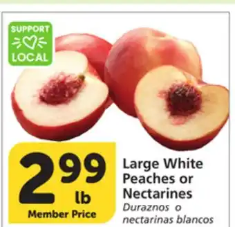 Albertsons Large White Peaches or Nectarines offer