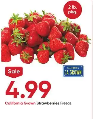 Stater Bros Strawberries offer