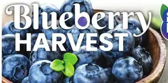 Jewel-Osco Blueberries offer