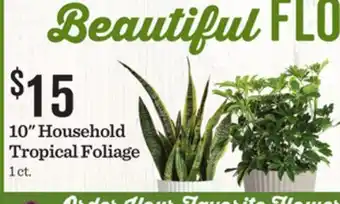 Mariano's 10 Household Tropical Foliage offer