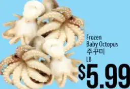 Hmart Frozen Baby Octopus offer