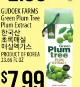 GUDOEK FARMS Green Plum Tree