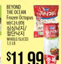 BEYOND THE OCEAN Frozen Octopus